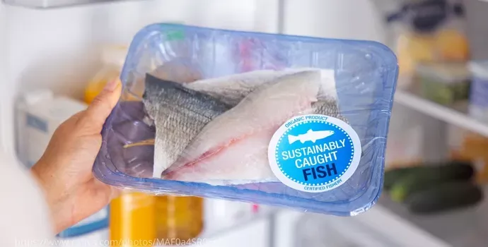 Descubra os Segredos da Sustentabilidade na Indústria de Pescados