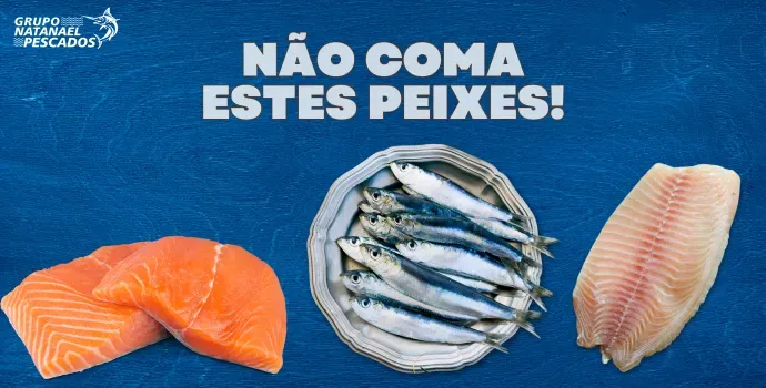 ? NÃO COMA ESTES PEIXES!
