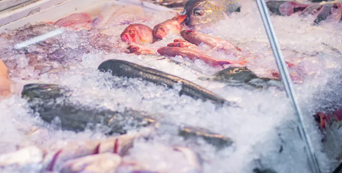 Por que consumir mais peixe no calor? 