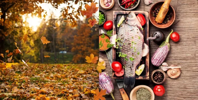 Aproveitando o Outono: Dicas de Receitas e Benefícios do Consumo de Pescados