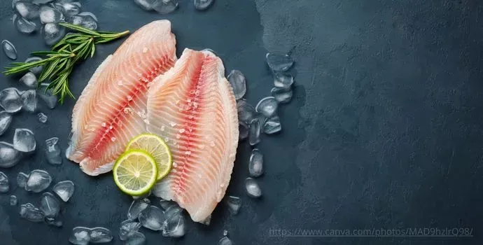 Opções deliciosas de Peixes em filés
