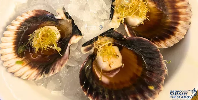 Receitas Fáceis e Saborosas com Vieiras